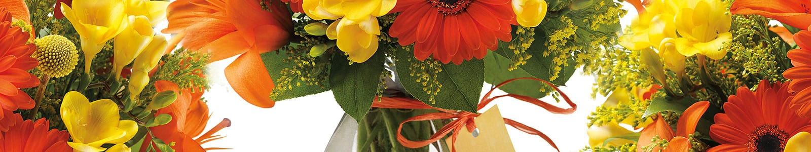 give flowers as gifts give flowers as gifts