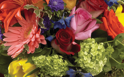 Reaching Out to Consumers and the Media