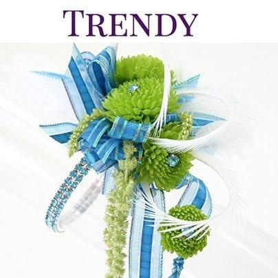 SAF-Member-grower SAF-Member-grower