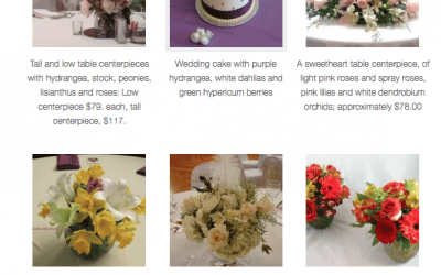 Informative Website Woos Brides