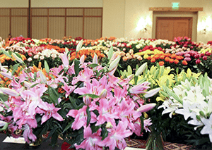 Who Will Be Crowned Best in Show?