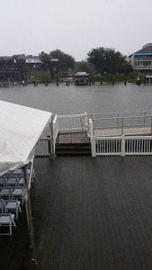 Tiger Lily’s delivery drivers had to be strategic navigating the city and surrounding areas. Fortunately, the shop was not damaged in the storm. “We’re on high ground by Charleston standards,” Gonzales explained.