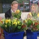 Fox News reporting on Petal It Forward