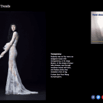 Bride in transparent gown