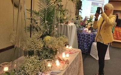 Look Out Denver and Columbus, Here Comes SAF’s 1-Day Profit Blast