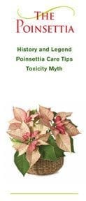 saf_poinsettia_brochure-cover