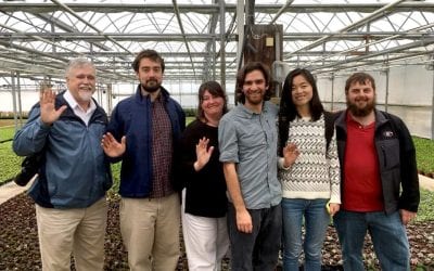 Paul Thomas, Ph.D., to Receive 2017 Alex Laurie Award