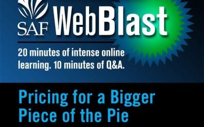 Free WebBlast: Pricing for a Bigger Piece of the Pie