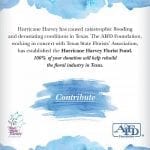 Hurricane Harvey. “Texas State Florists' Association and the AIFD Foundation continue to receive donations for the Hurricane Harvey Florist Fund,”