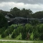 image from Hurricane Irma 2017 showing a row of tress that have damage from the storm