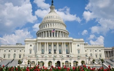 The Legislative Year Ahead