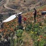 Filmmakers interview Mel Resendiz about water use at his protea farms for a new campaign with the San Diego Water Authority.