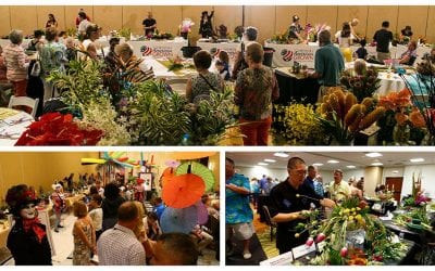 Designers to Compete for Top Honors at Sylvia Cup in Palm Springs