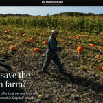 Tuesday’s election will determine whether Eda and John Muller, owners of Daylight Farms, will be allowed to use a section of their 21-acre property to grow thousands of young marijuana plants.