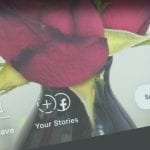 Smartphone screenshot of Instagram Stories and Facebook Stories sharing with flowers.