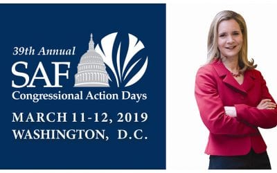 Political Journalist A.B. Stoddard to Speak at SAFPAC Dinner