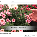 PanAmerican Seed during the California Spring Trials was especially memorable this year. You can find more information on the event, along with photos and video coverage at www.springtrials.com