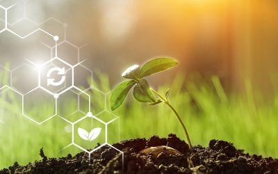 Executive Order Builds Momentum for Streamlined Biotech Regulations