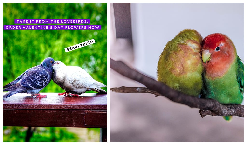 7 New Social Media Posts for Valentine’s Day