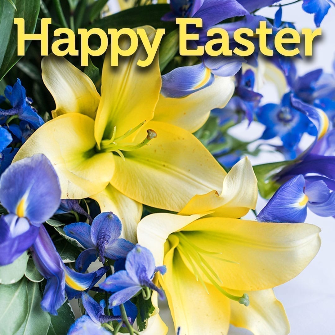 SAF-HappyEaster-Lily-Iris-1080 Happy Easter