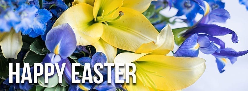 SAF-HappyEaster-Liy-Iris-851x315 Happy Easter