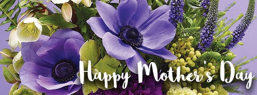 SAF-HappyMothersDay-Purple-851x315 Happpy Mother's Day