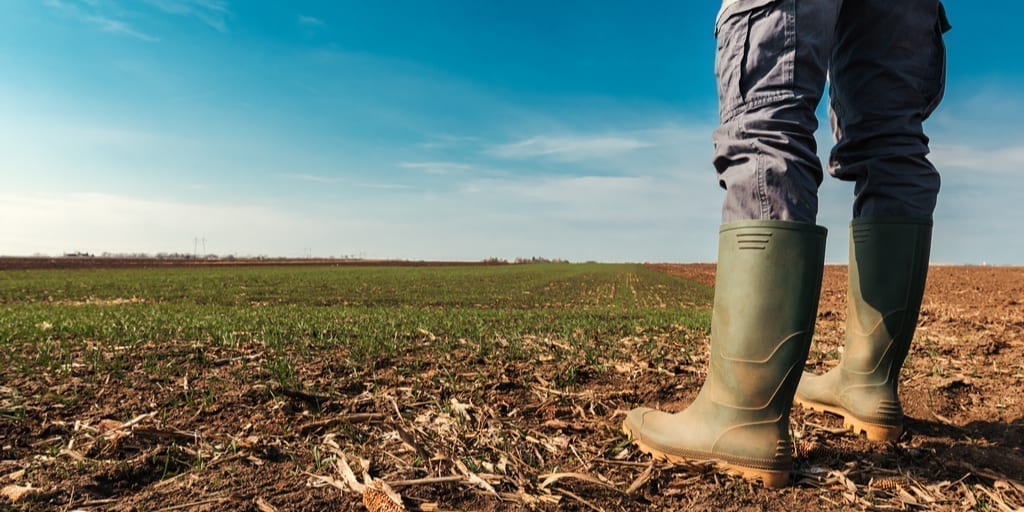 SAF Survey Shows Domestic Growers Reeling Amidst COVID-19