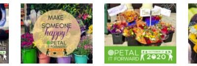3 Social Strategies for a Successful Petal It Forward