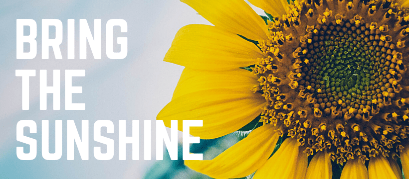 Bring the Sunshine 820