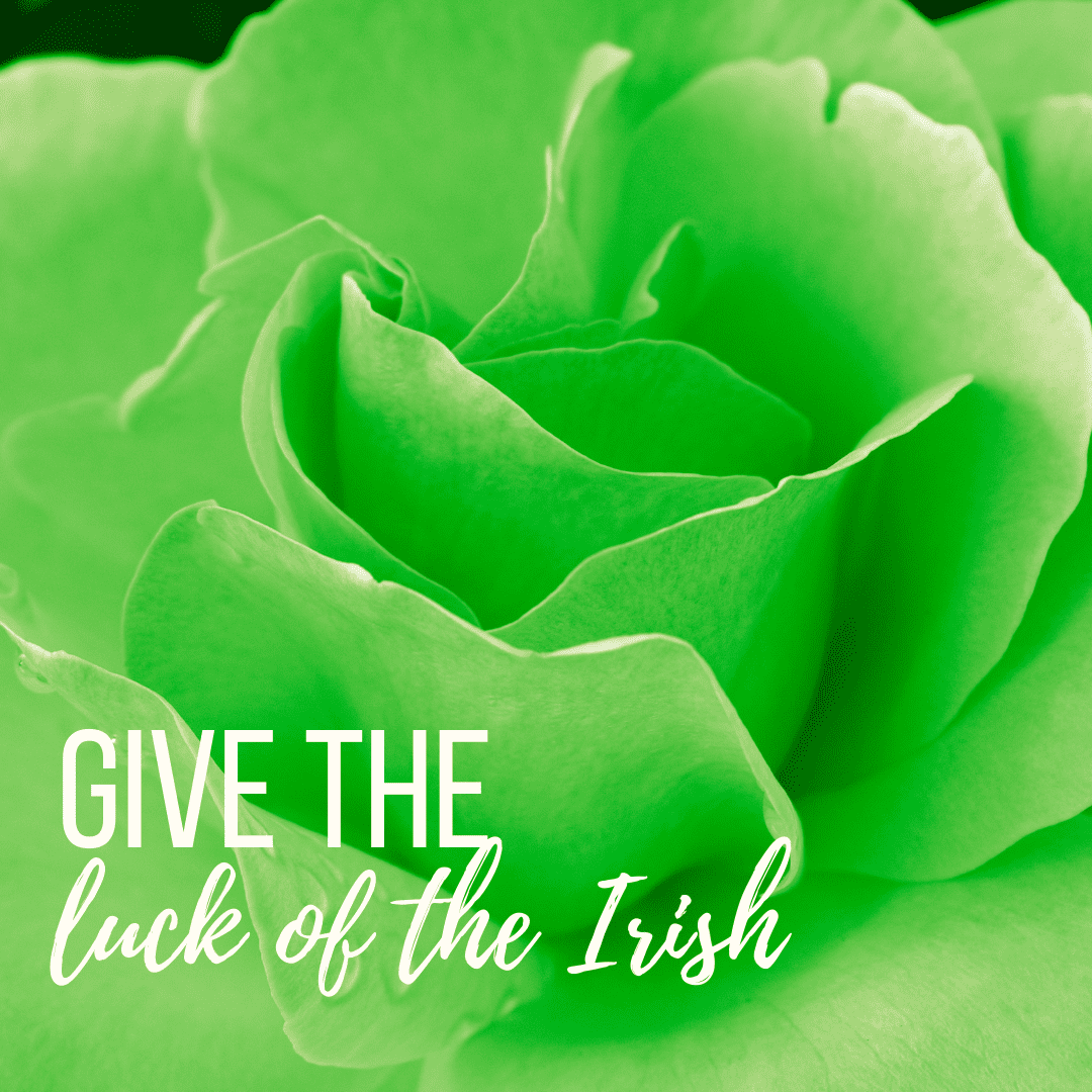 Give the Luck of the Irish Valentine's Day - banner ad 177x175 pixels