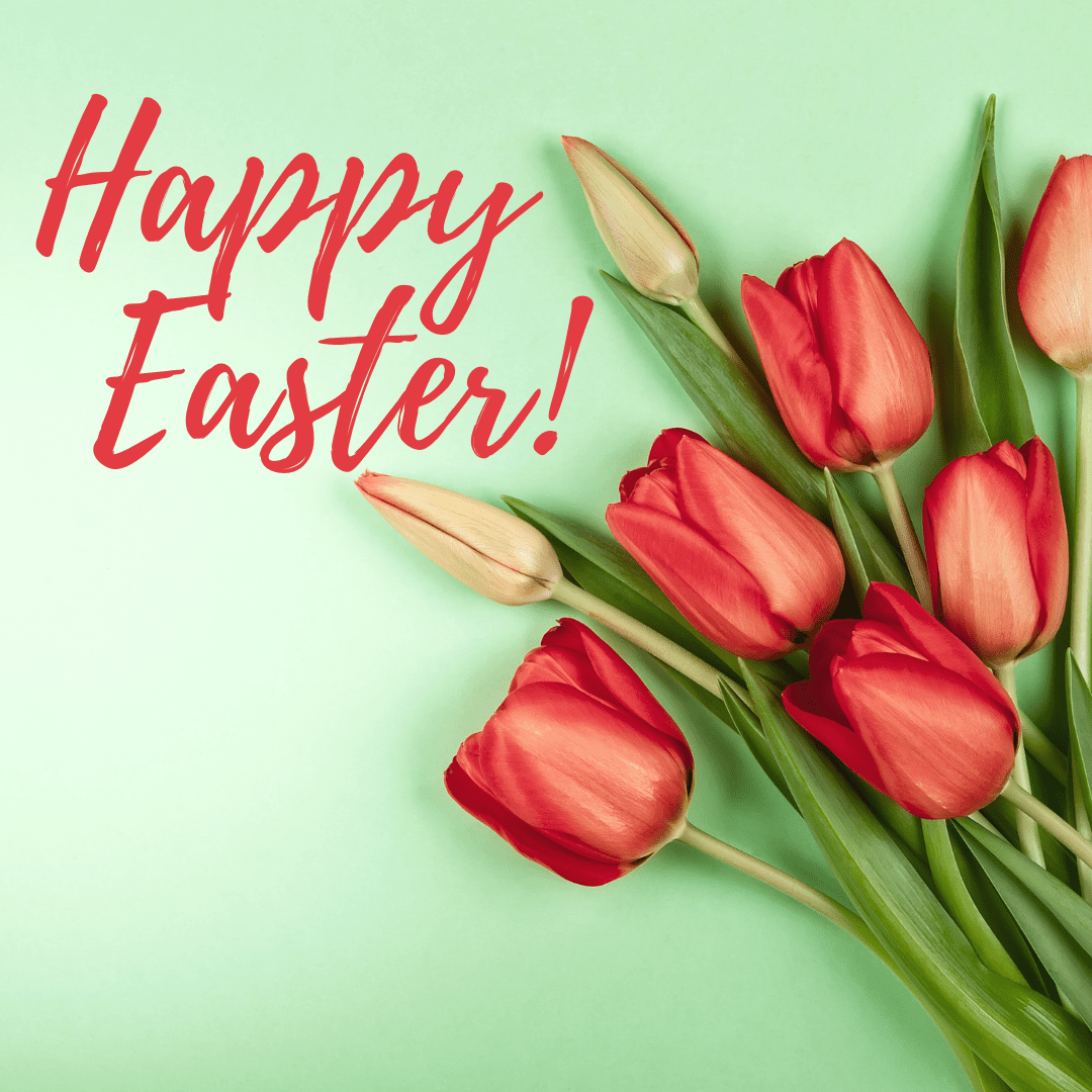 Happy Easter Tulips Valentine's Day - banner ad 177x175 pixels