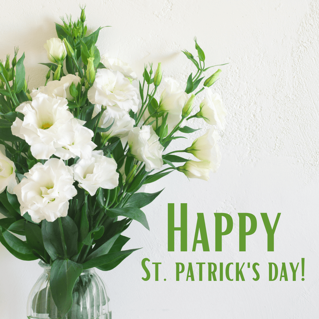 Happy St. Patrick's Day Green Valentine's Day - banner ad 177x175 pixels