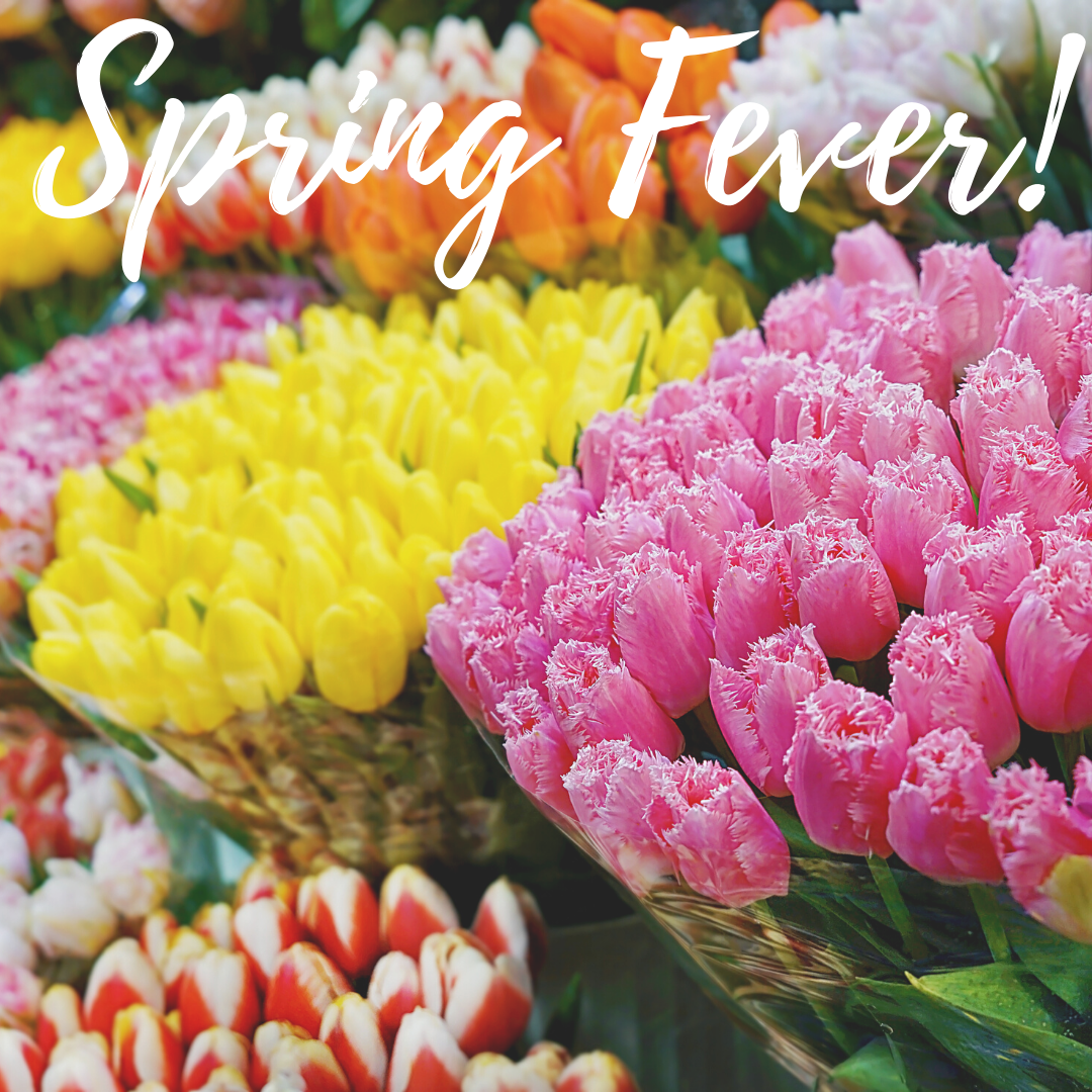 Spring Fever Valentine's Day - banner ad 177x175 pixels