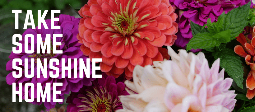 _Take Some Sunshine Home 820