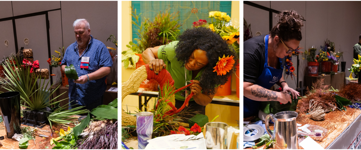 Sylvia Cup Banner 2024 Sylvia Cup