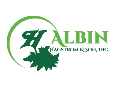 sponsor-albin-hagstrom-4x3-1 Sponsor BloomNation