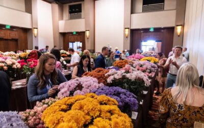Breeders and Growers: Can Your Flowers Compete Among the Best?