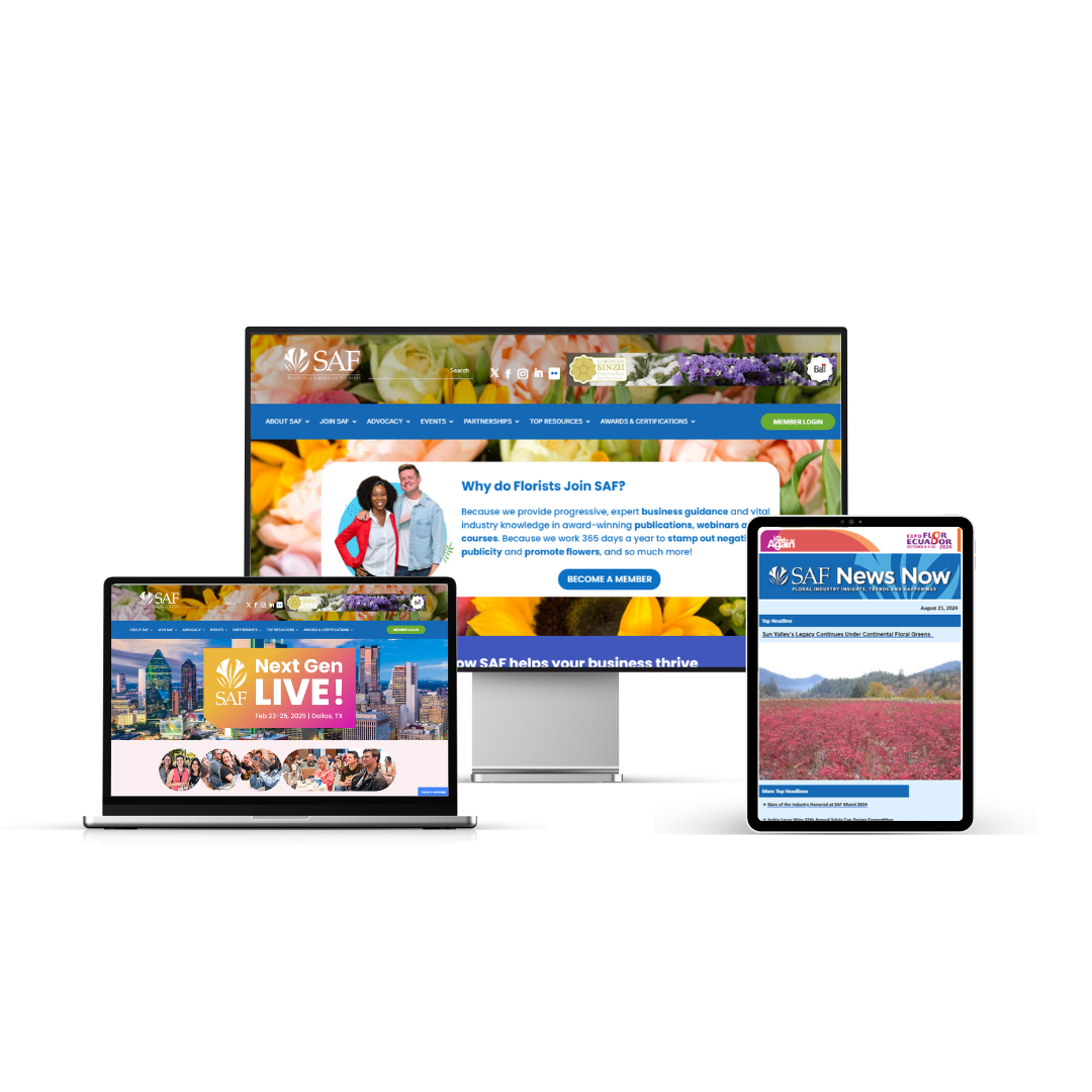 mockups pc, laptop, tablet SAF