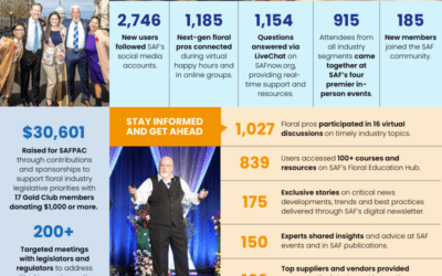 2024 in Review: SAF Guided and Connected the Industry