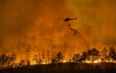 Floral Companies Organize for California Fire Relief