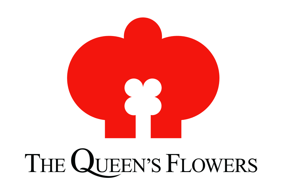 43d0f7_c76186c24ec049cdbf99a956fd2ff957~mv2