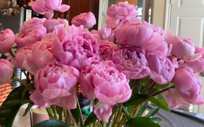 Floral Community Delivers a ‘Miracle’ to Texas Woman