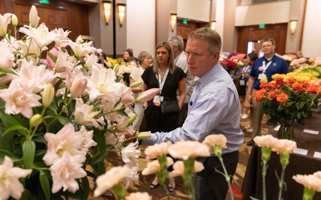 Education, Innovation and Community Await in Phoenix 