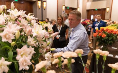 Education, Innovation and Community Await in Phoenix