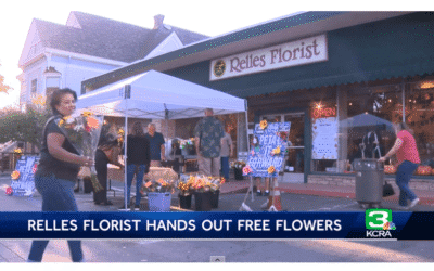 Make Headlines With Petal It Forward