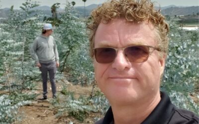 The Pivot Point: Building a Business on Risk and Resilience