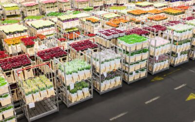 Executive Order Could Open Door to Duty-Free Flowers