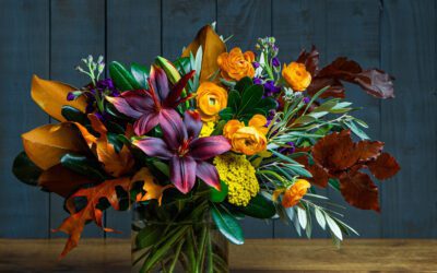 Florida Growers Turn Adversity Into Innovation 