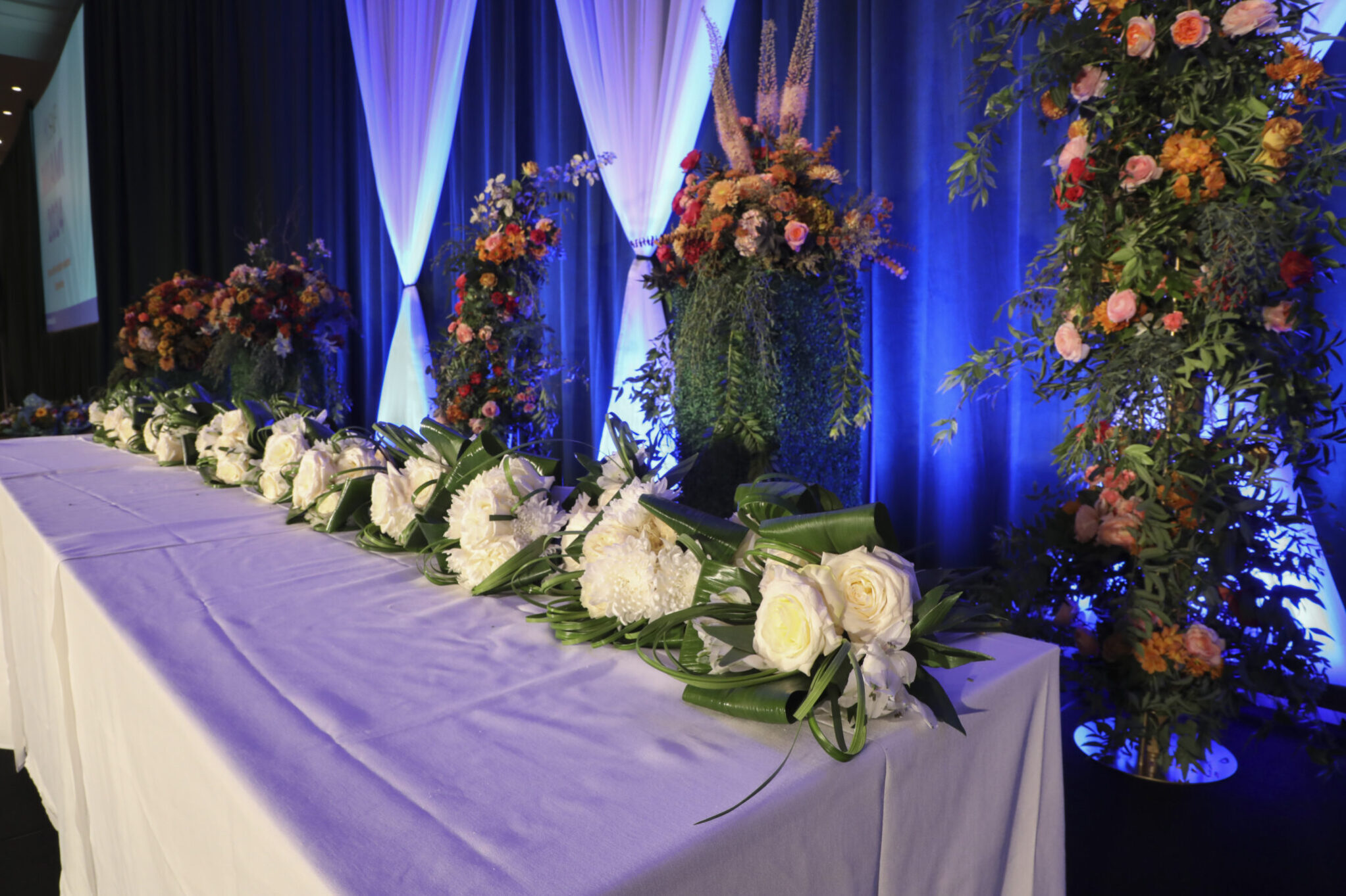 53921425288_134c9384d4_o