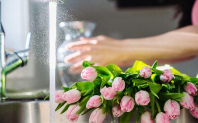 Debunk Care and Handling Myths to Boost Vase Life